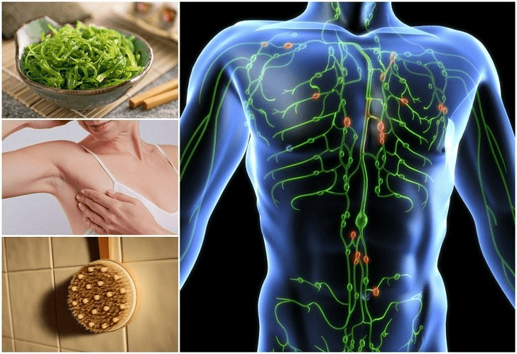 Care for the Lymphatic System