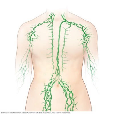 Read more about the article Swollen Lymph Nodes